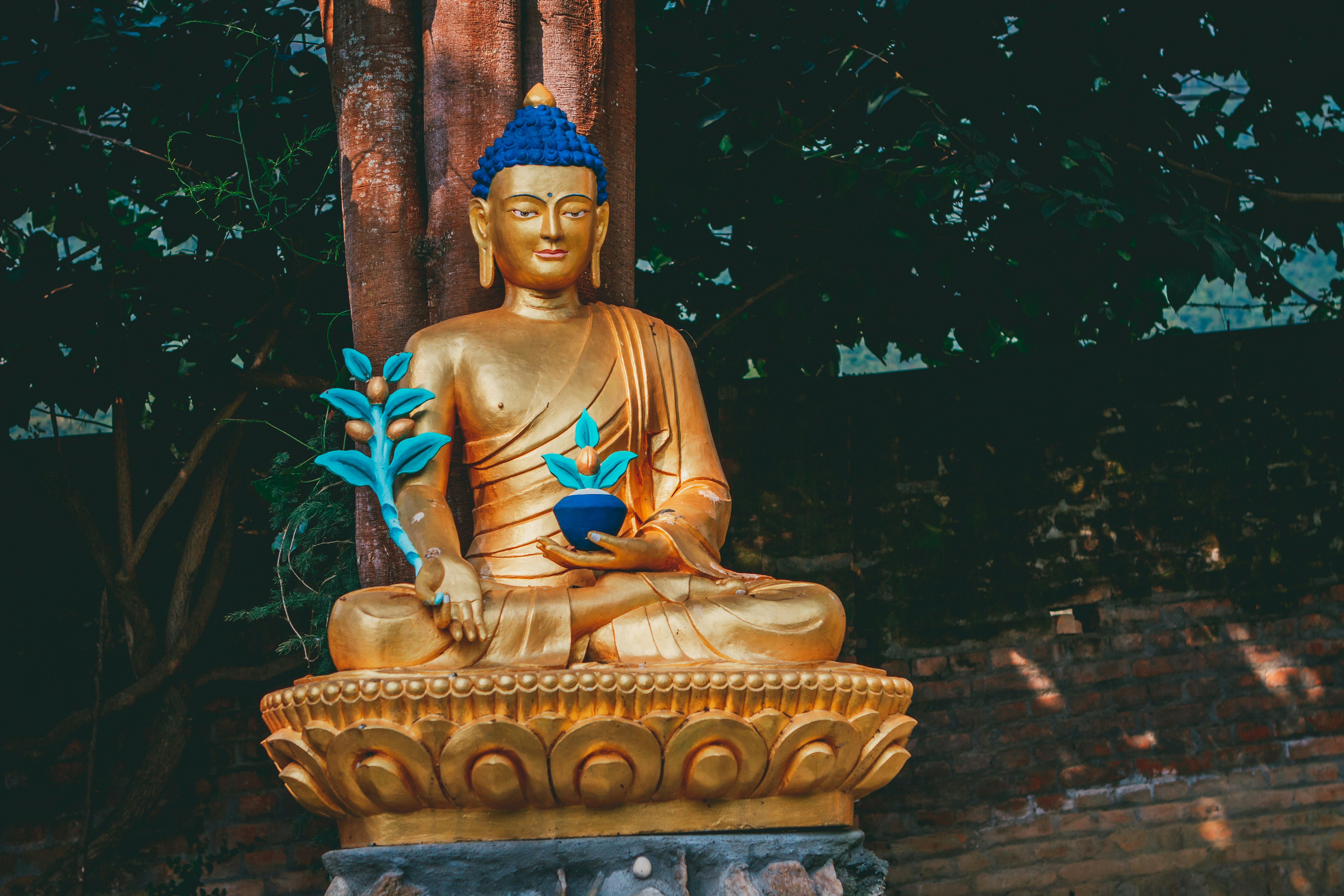Buddhist Environmental Literature